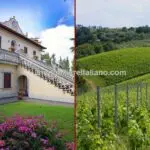 Tuscany vineyard