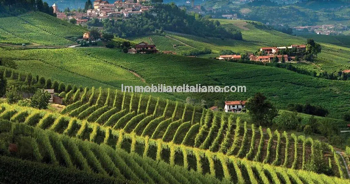 Italian Winery and Vineyard for Sale