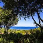 You will certainly think you have found paradise in this newly build villa in Punta Ala Tuscany. Sea and mountain views, pool, 4 bedrooms (3 en suite), air conditioning lovely gardens ...