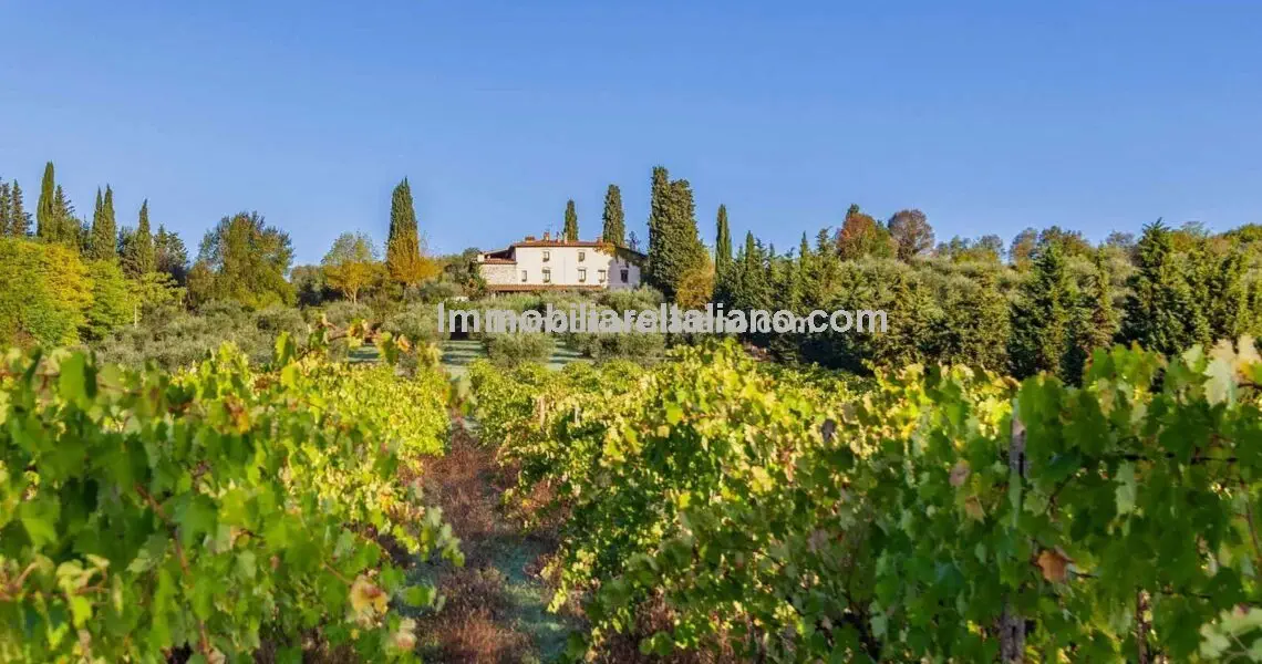 Tourist and farm business Tuscany Italy