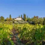 Priced to sell. Tourist and farm business in Tuscany Italy for sale. Agriturismo with 11 bedrooms overall, gardens, swimming pool