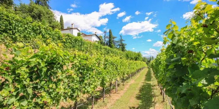 SOLDChange your life – Friuli Venezia Giulia