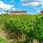 Business Opportunity In Italy - Tourist Accommodation Arezzo Tuscany