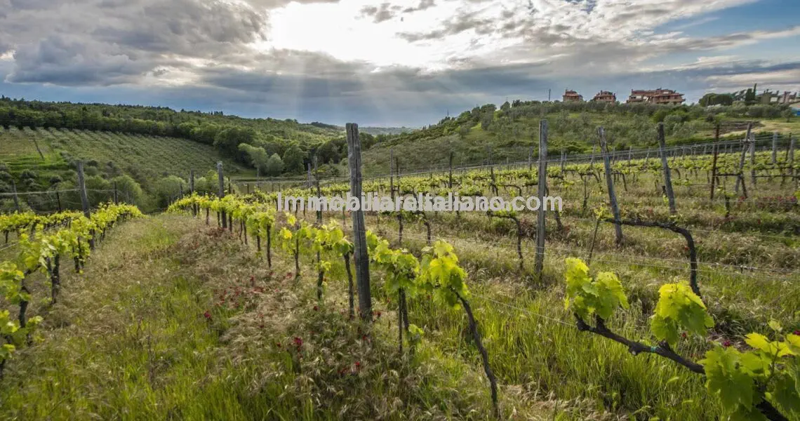 Tuscan Vineyard Property