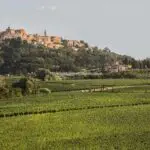 View of estate and Montepulciano