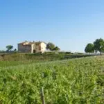 View of Tuscan vineyard estate