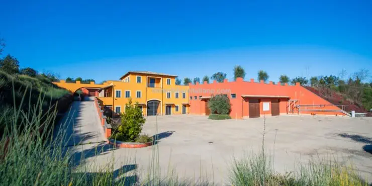 Winery for sale in Italy