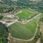 Aerial view of Italian vineyard for sale
