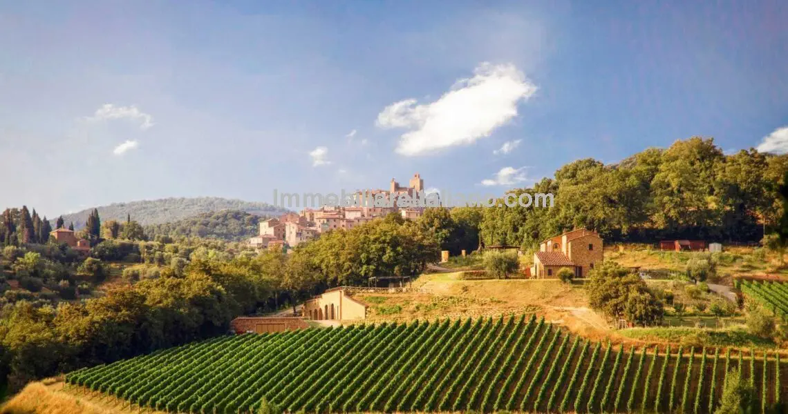Vineyard for sale Italy