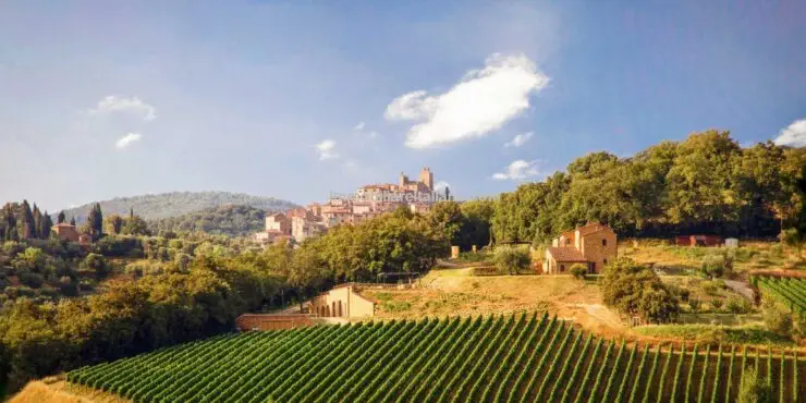 Vineyard for sale Italy