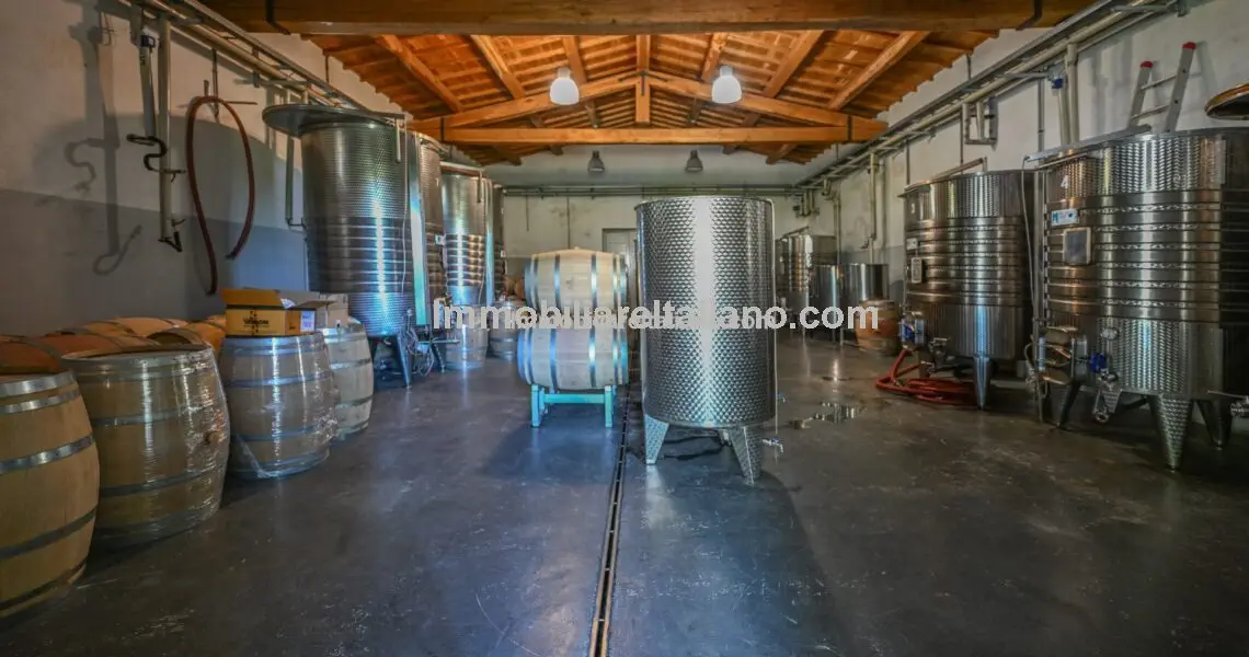 Tuscan Coast Winery
