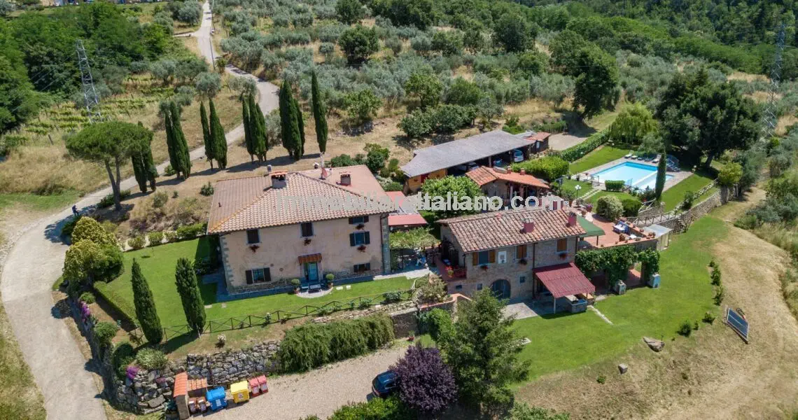 Olive Oil Business with Agriturismo