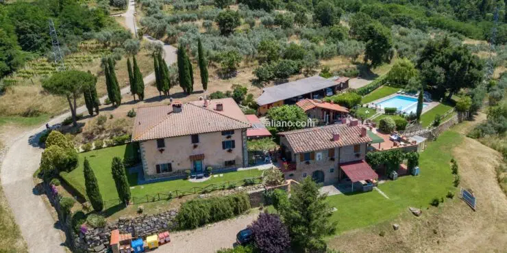 Olive Oil Business with Agriturismo