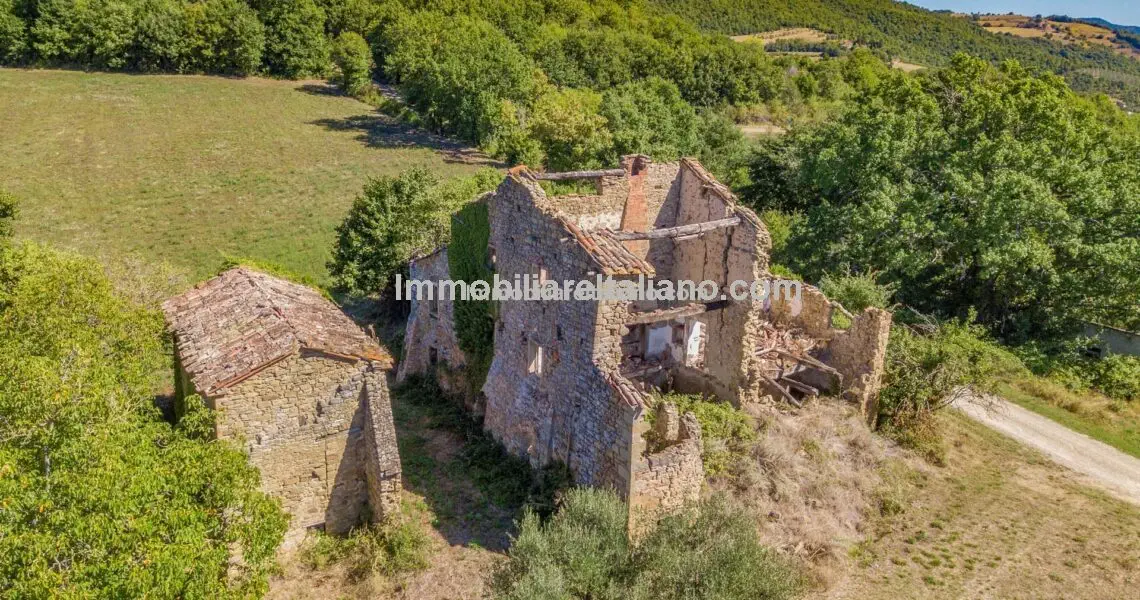 Farmhouse and Outbuildings