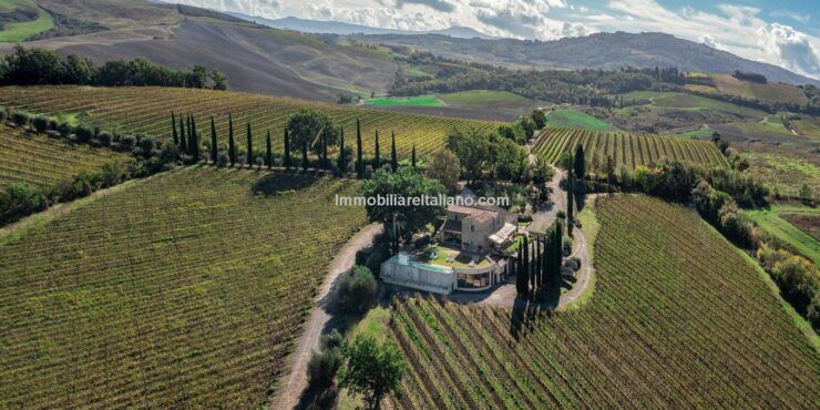 Wine Estate