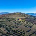 View of farmhouse property in Umbria and surrounding countryside