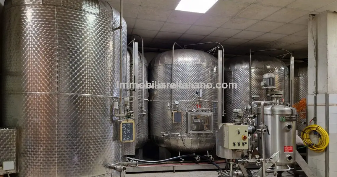 Wine Estate Emilia Romagna