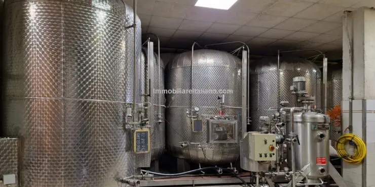 Wine Estate Emilia Romagna