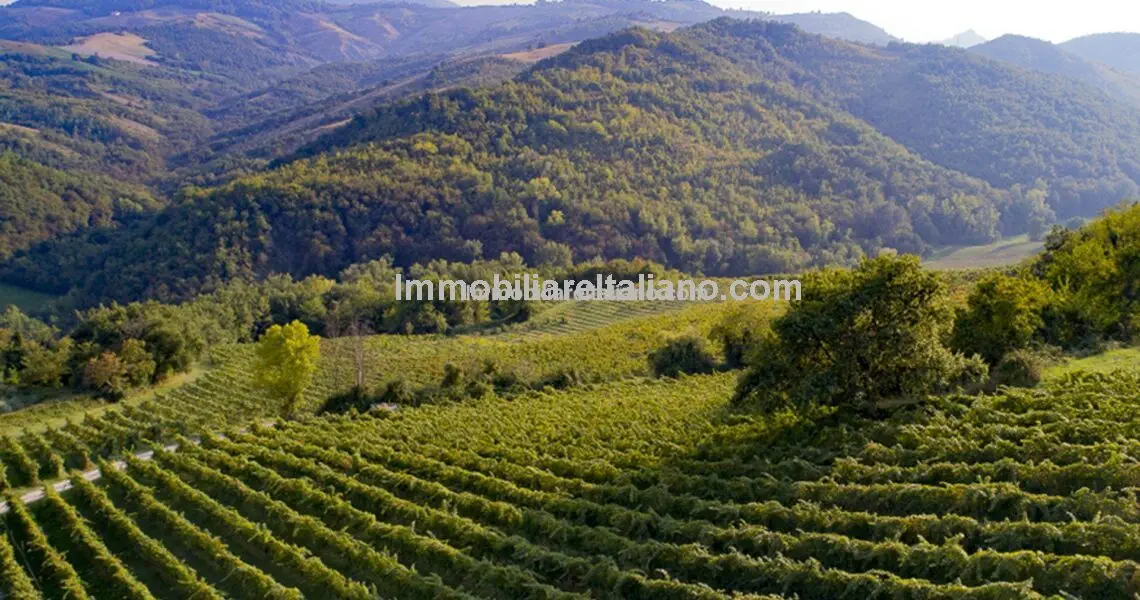 Wine Estate For Sale