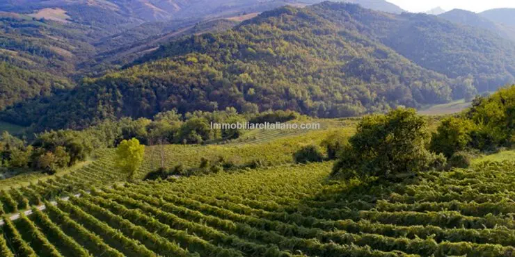 Wine Estate For Sale