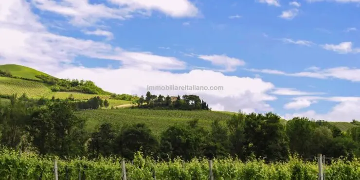 Organic Farm Estate