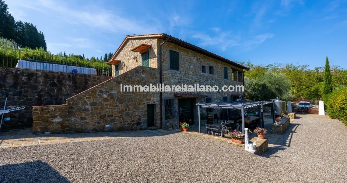 Small vineyard for sale in Italy