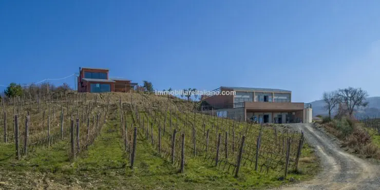 Tuscan Organic Wine Estate