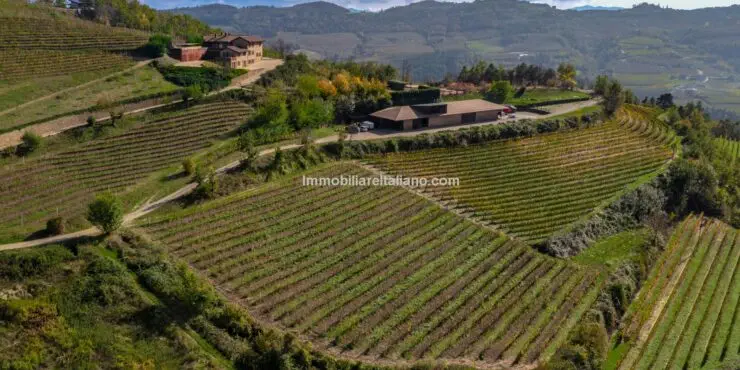 Piedmont Italy Vineyard For Sale