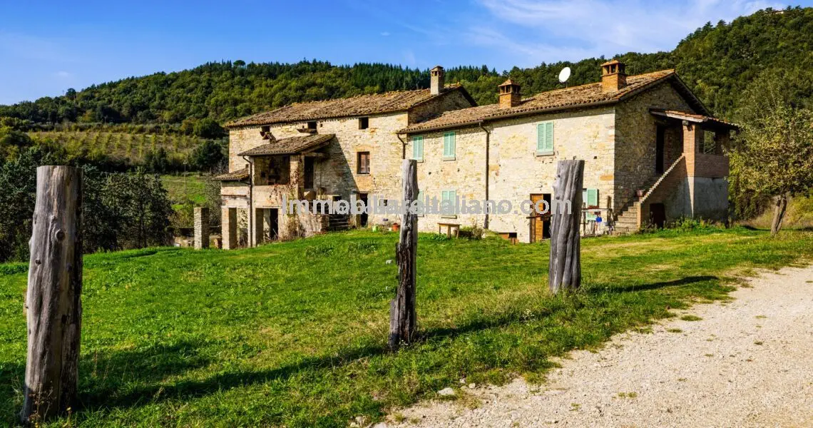 Farm House Needing Restoration