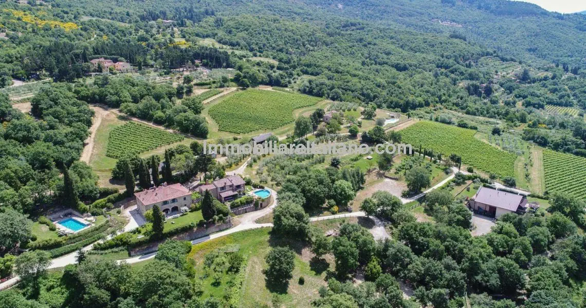 Organic wine estate for sale in Tuscany
