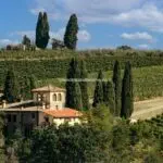 View of wine estate and villa San Casciano in Val di Pesa Florence Tuscany Italy