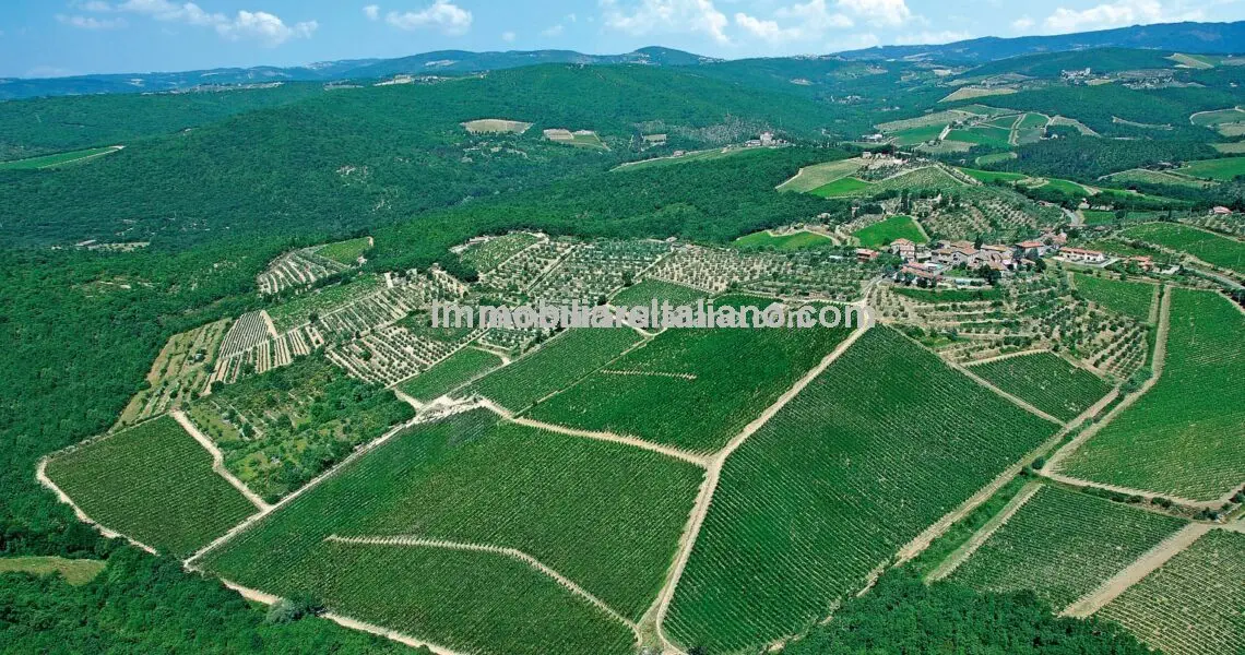 Chianti Winery