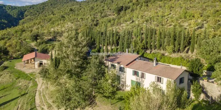 3 Bed Home
