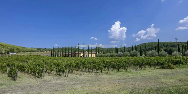 SOLDOrganic Wine Estate