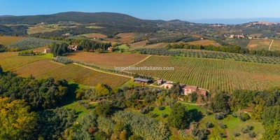 San Gimignano Wine Farm