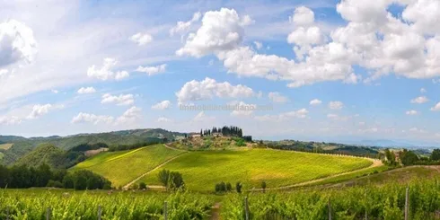 Agriturismo and wine estate