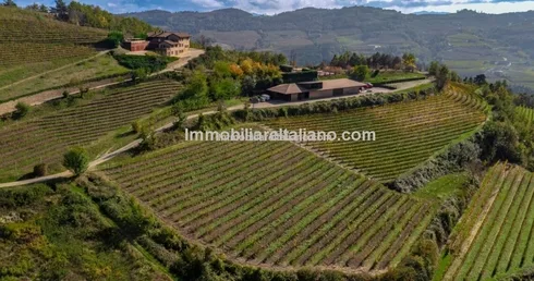 Piedmont Italy Vineyard For Sale
