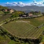 View of Piedmont Italy vineyard , land and buildings for sale