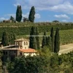 View of wine estate and villa San Casciano in Val di Pesa Florence Tuscany Italy